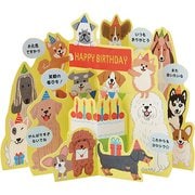 カード 誕生日祝い イヌいっぱい 808946