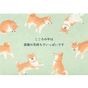 カード 感謝 しっぽを振る柴犬 831760