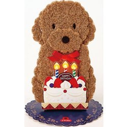 カード 誕生日祝い ライト＆メロディー トイプードルケーキ 184161