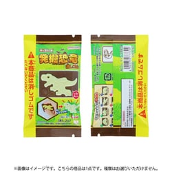 S4220307 消しゴム キャラパキ 発掘恐竜 1個 [コレクショントイ]