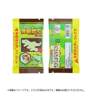 S4220307 消しゴム キャラパキ 発掘恐竜 1個 [コレクショントイ]