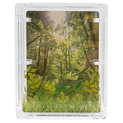 レイヤードローダー ハコローダー 森/Forest [トレーディングカード用品]