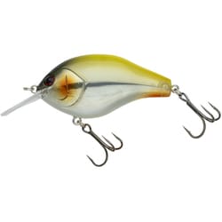 NORIES ノリーズ マルノミフラット60 バナナアテンション（クリア） [シャッド]