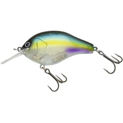 NORIES ノリーズ マルノミフラット60 キハダワカサギ（クリア） [シャッド]