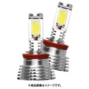SPHERE LIGHT(スフィアライト) フォグ用LED H8/H11/H16 コンバージョンキット6000K SHKPE060-S