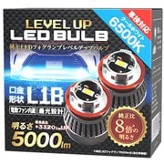 SPHERE LIGHT(スフィアライト) 純正LEDフォグレベルアップバルブ6500K(クールホワイト) SLLUB065