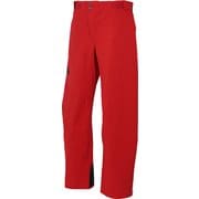 DEMO OUTER PANTS ユニセックス スノーパンツ RD Lサイズ ONP98051