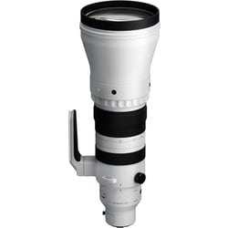300-600mm F4 DG OS（S） TL [超望遠ズームレンズ Sportsライン ミラーレス一眼専用 フルサイズ対応 ライカLマウント 受注生産品]