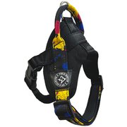 FIELDMASTER ヘッドインハーネス SS ペイントブラック