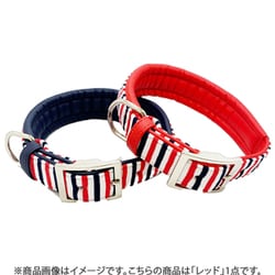 クッション カラー ＃36 トリコボーダー レッド