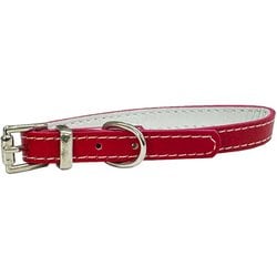 F1952 [マイスター Wレザー カラー 10 レッド L]