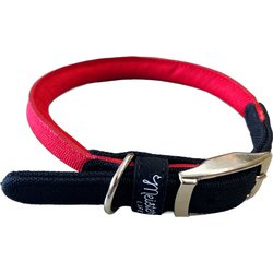 マイスター ライフ ロール カラー 20 レッド S