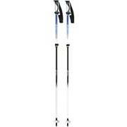 フリーFAST‐α Limited Edition スキー ストック ブルー（BL） 95-120cm 206140