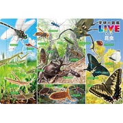 MC60-629 科学 チャイルドパズル 昆虫図鑑（学研の図鑑LIVE） [ジグソーパズル 60ピース]