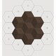 Beosound Shape Cover Dark Oak