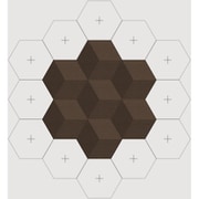 Beosound Shape Cover Dark Oak