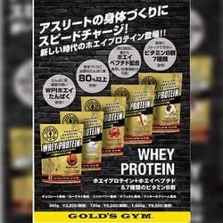 ヨドバシ.com - ゴールドジム GOLD'S GYM F6872 [ホエイ