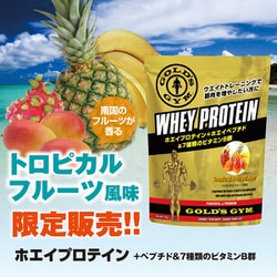 ヨドバシ.com - ゴールドジム GOLD'S GYM F6372 [ホエイ