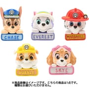 PAW-8-1 パウ・パトロール kawaii design バスボール 1個 [コレクショントイ]