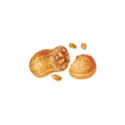 ヨドバシ.com - KANRO カンロ 【限定】カンロ ナッツボン復刻版