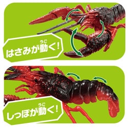 ザリガニ商店 Amazon.co.jp: タカラトミー(TAKARA TOMY) アニア AL-31