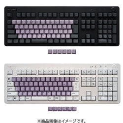 キーキヤップセット/タイプキー REALFORCE R3/R3S対応 スモーキーライラック 54キー 日本語配列 かなレス M0335J