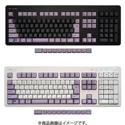 キーキヤップセット/タイプキー以外 REALFORCE R3/R3S対応 スモーキーライラック 54キー 日本語配列 かなレス M0336J