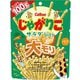じゃがりこ サラダbits大モリ 100g