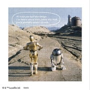 W144-691 スター・ウォーズ R2-D2＆C-3PO [ジグソーパズル 144ピース]