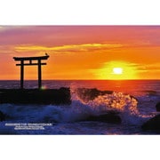 300-441 日本の都市85 茨城県東茨城郡「大洗・朝日が照らす神磯の鳥居」 [ジグソーパズル 300ピース]