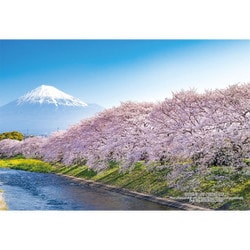 300-442 日本の都市86 静岡県富士市「龍巌淵の桜」 [ジグソーパズル 300ピース]