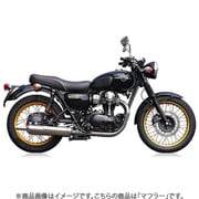 ワイバンクラシック W800 ヒートーガード対応 WK20-02HG