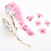 ロールステッカー 河津桜の木 BDA777