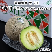 糖度14度以上 JA旭村『青肉メロン（品種：アンデス、オトメなど）』茨城県産 秀 2玉 計約1.4kg 簡易箱 ※常温 [ご注文受付は2025年6月30日（月）決済完了分まで]