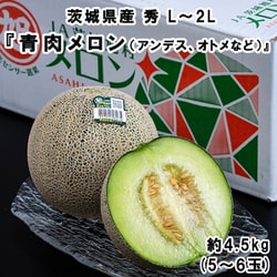 糖度14度以上 JA旭村『青肉メロン（品種：アンデス、オトメなど）』 茨城県産 秀 L～2L 計約4.5kg（5～6玉） 産地箱 風袋込 ※常温 [ご注文受付は2025年6月30日（月）決済完了分まで]