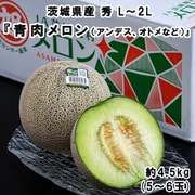 糖度14度以上 JA旭村『青肉メロン（品種：アンデス、オトメなど）』 茨城県産 秀 L～2L 計約4.5kg（5～6玉） 産地箱 風袋込 ※常温 [ご注文受付は2025年6月30日（月）決済完了分まで]