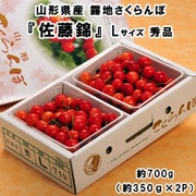 『佐藤錦』山形県産 露地さくらんぼ Lサイズ 秀品 約700g（約350g×2P）※冷蔵 [ご注文受付は2025年6月23日（月）決済完了分まで]