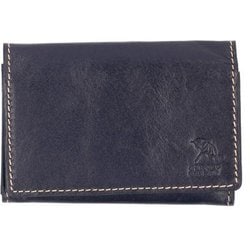 4AP3638 ArnoldPalmer Wマチ名刺入れ 名刺入れ NAVY