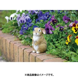ヨドバシ.com - セーブ・インダストリー ミニうさぎ SV-5868