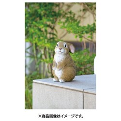 ウサギ Amazon.co.jp: 今治産タオル 赤ちゃん用 ウサギぬいぐるみ S