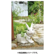 ラビッツファーム プランター （L） KH-60972