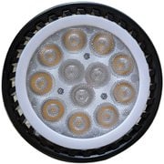 Plants NEXLIGHT PAR30 BLACK 電球色 NL-PAR303-BC95