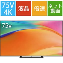 VIERA（ビエラ） W95Bシリーズ 75V型 4K液晶テレビ 倍速対応 Fire TV搭載 TV-75W95B