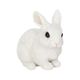 H12521-4 [しゃがむ白ウサギ]