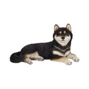 H21087-2 [リラックス黒柴犬（中）]
