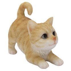 H19159-1 [じゃれる茶トラ猫（小）]