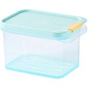 冷凍 保存容器 750ml 電子レンジ 食洗機対応 ブルー ロック&ロック フローズン コンテナ HFL102