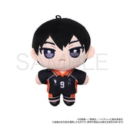 ハイキュー!! ぬいパル ぬいぐるみ 影山飛雄 (再販)