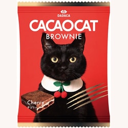 CACAOCAT BROWNIE チェリー1個入