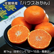 『ハウスみかん』佐賀県産 約1kg（目安として12～15玉、風袋込）化粧箱 ※常温 JAからつ [ご注文受付は2025年7月17日（木）決済完了分まで]